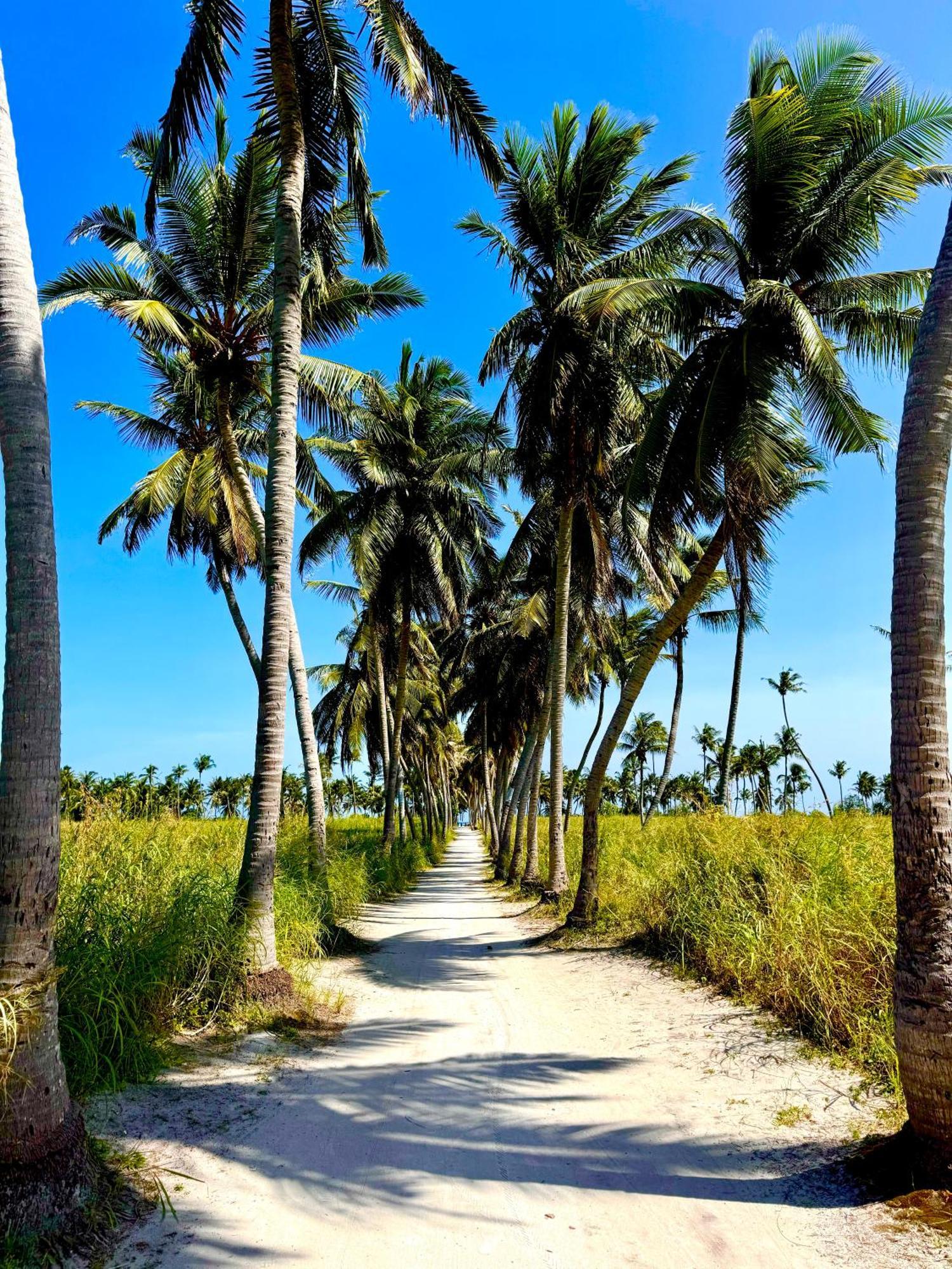 Sands Garden Hotel Thoddoo Esterno foto
